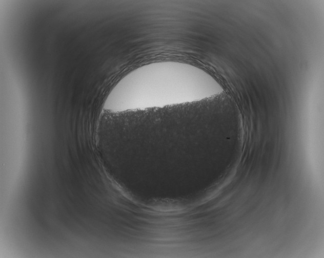 X0000116840230200912181121