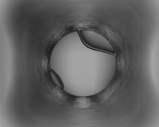 X0000116840231200912181121