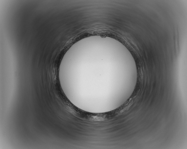 X0000116840232200912181121