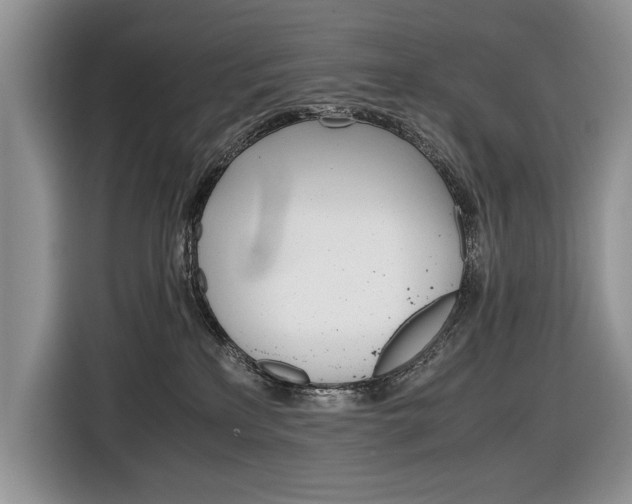 X0000116840233200912181120
