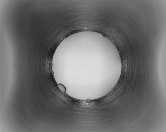 X0000116840234200912181120