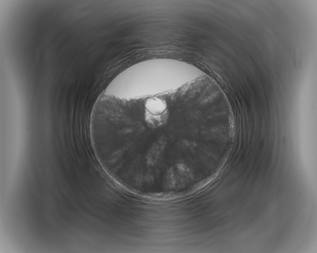 X0000116840238200912181120