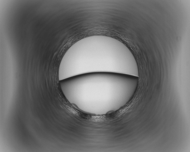 X0000116840240200912181120