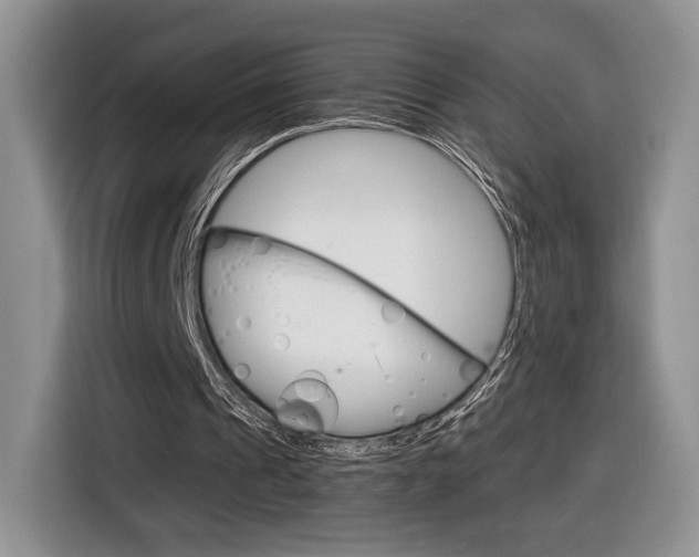 X0000116840241200912181120