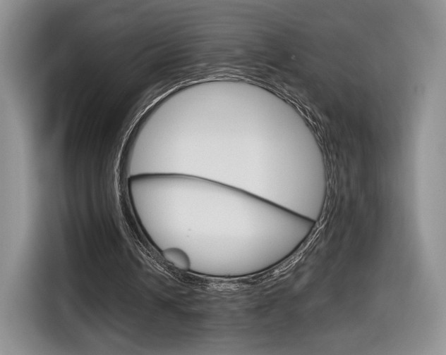 X0000116840242200912181120