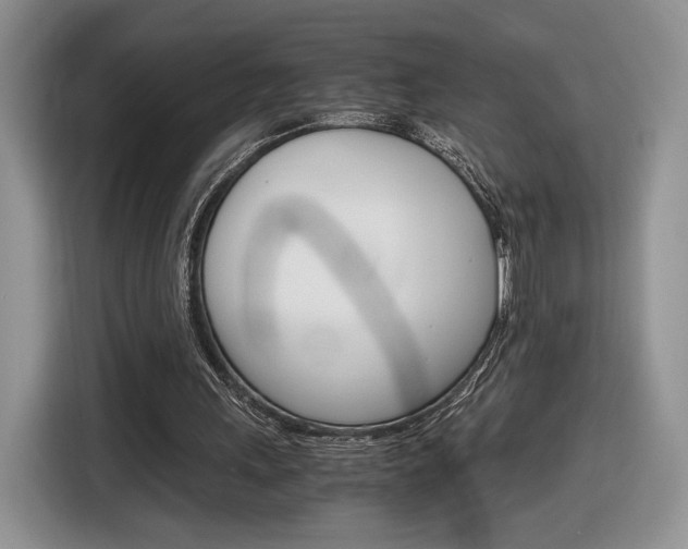 X0000116840243200912181120