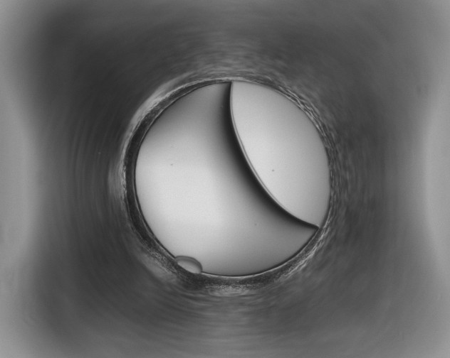 X0000116840246200912181120