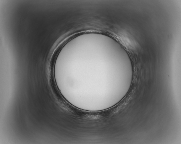 X0000116840247200912181120