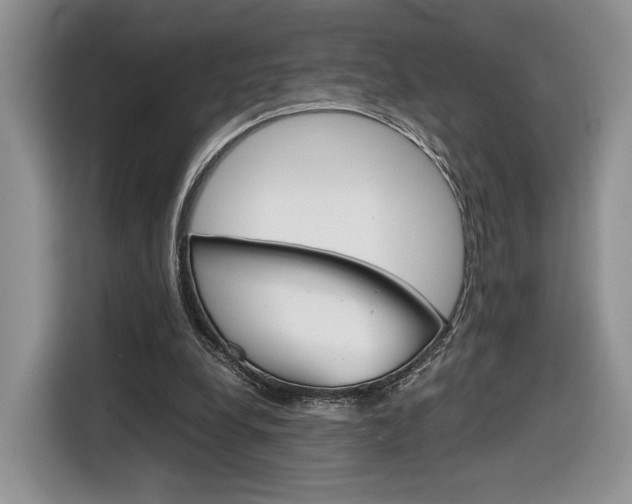 X0000116840248200912181120