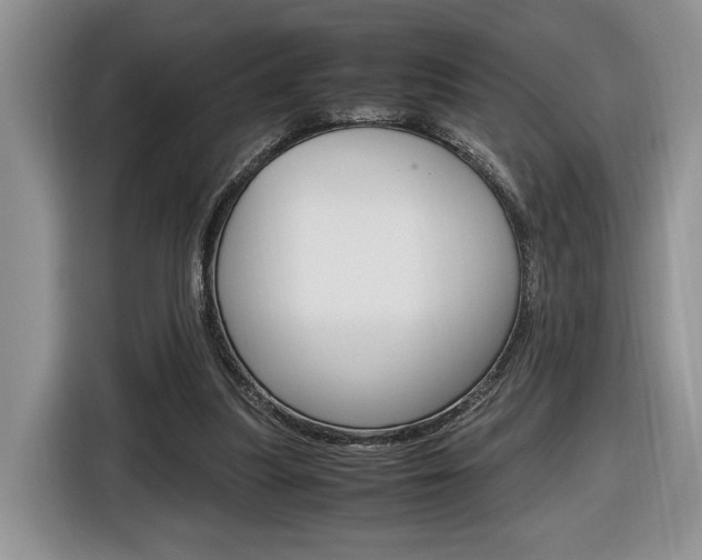 X0000116840251200912181120