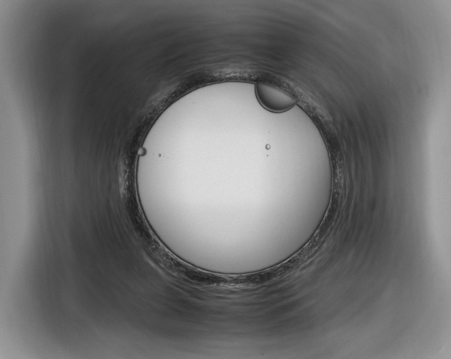 X0000116840255200912181120