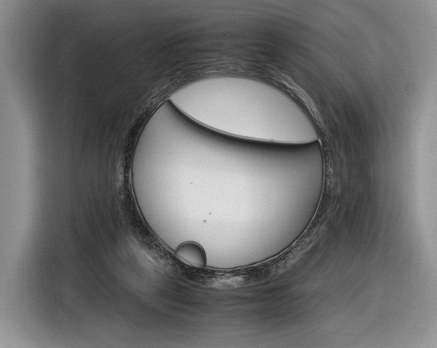 X0000116840257200912181120