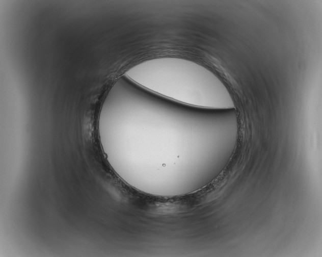 X0000116840259200912181120