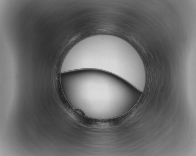 X0000116840260200912181120