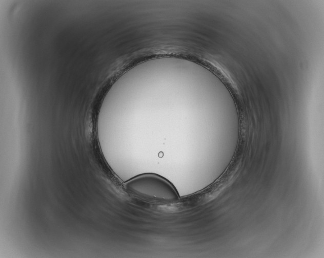 X0000116840261200912181120