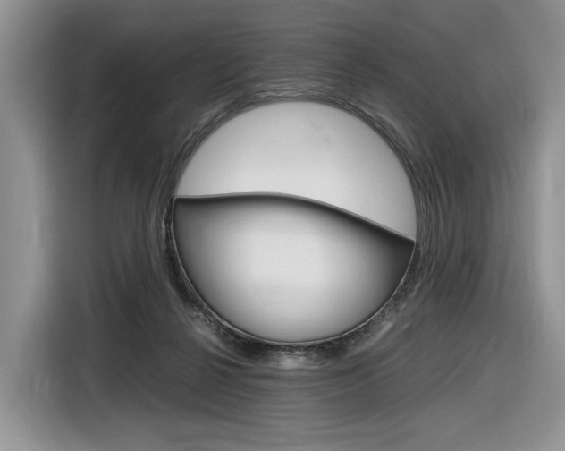 X0000116840264200912181120