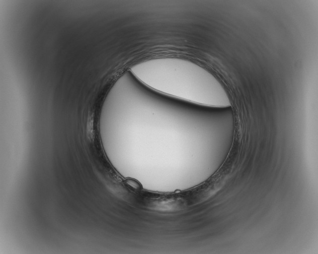 X0000116840267200912181120