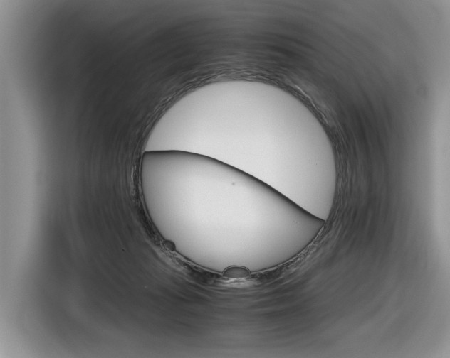 X0000116840269200912181120