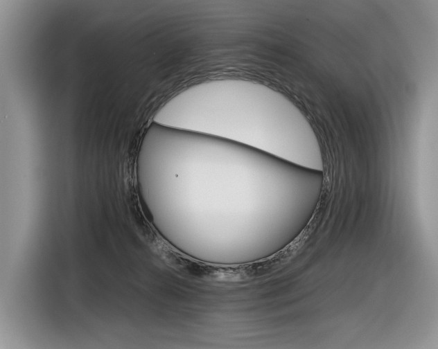 X0000116840272200912181120