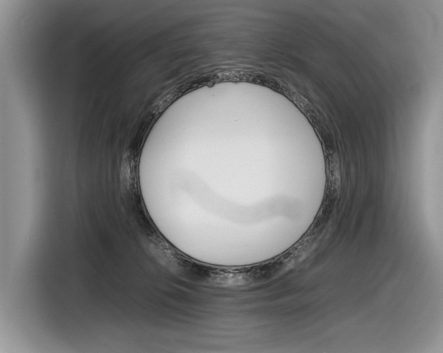 X0000116840276200912181120