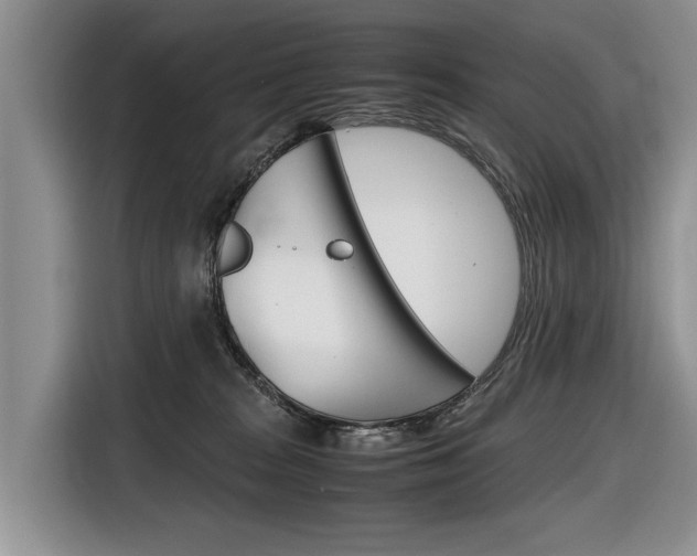 X0000116840277200912181120
