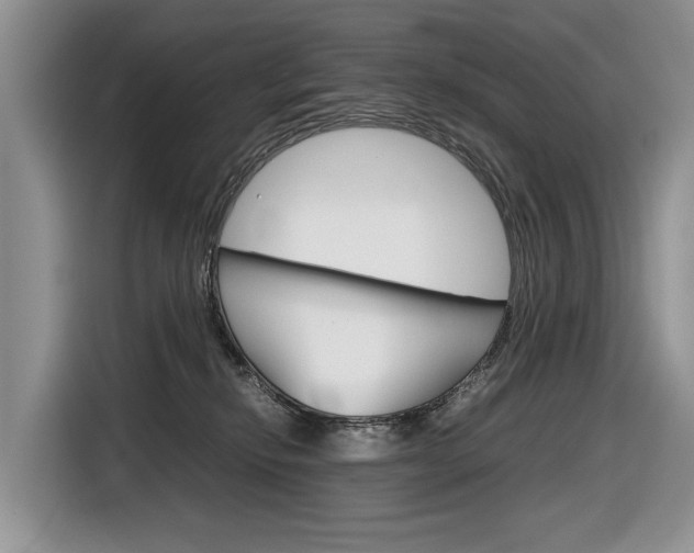 X0000116840278200912181120