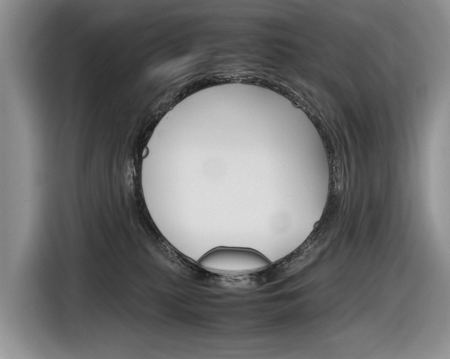 X0000116840279200912181120