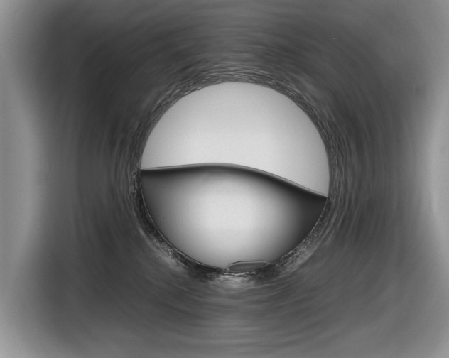 X0000116840280200912181120