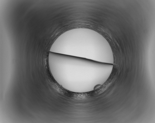 X0000116840282200912181120