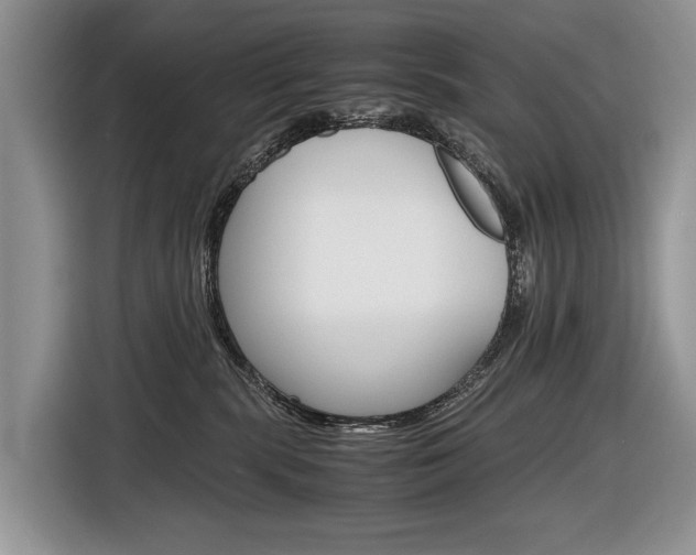 X0000116840283200912181120