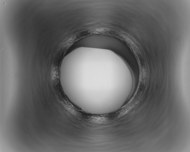X0000116840284200912181120