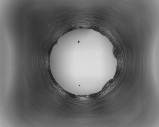 X0000116840285200912181120