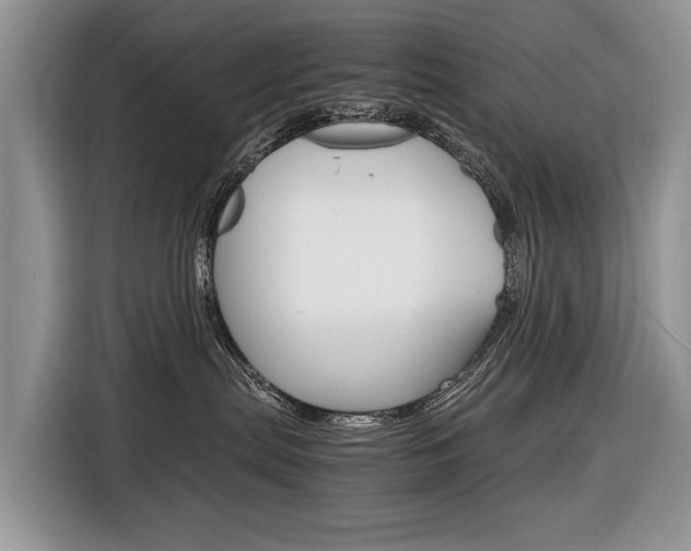 X0000116840287200912181120