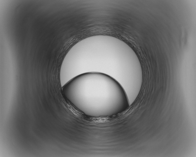 X0000116840288200912181120