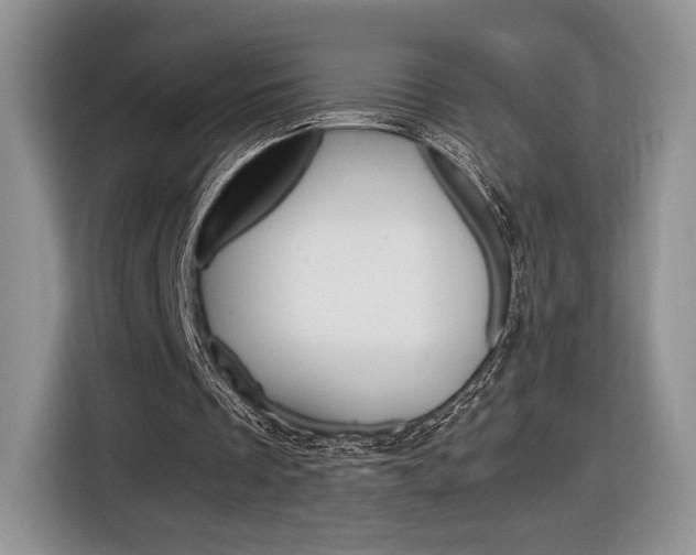 X0000116840289200912181120