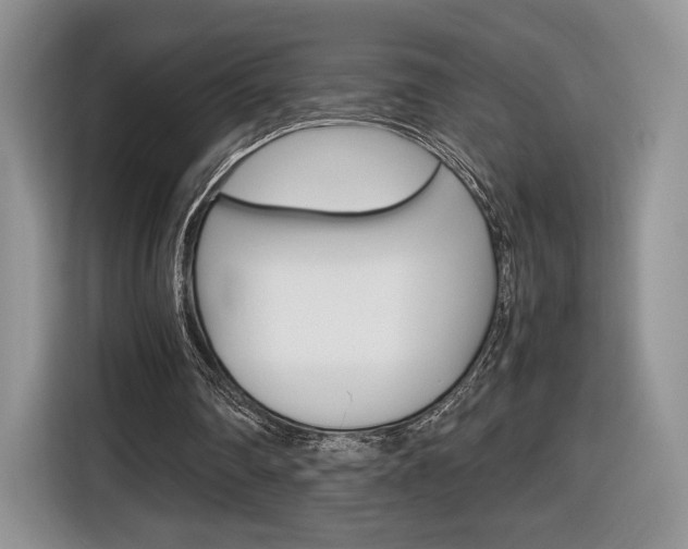 X0000116840290200912181120