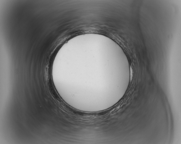 X0000116840291200912181120