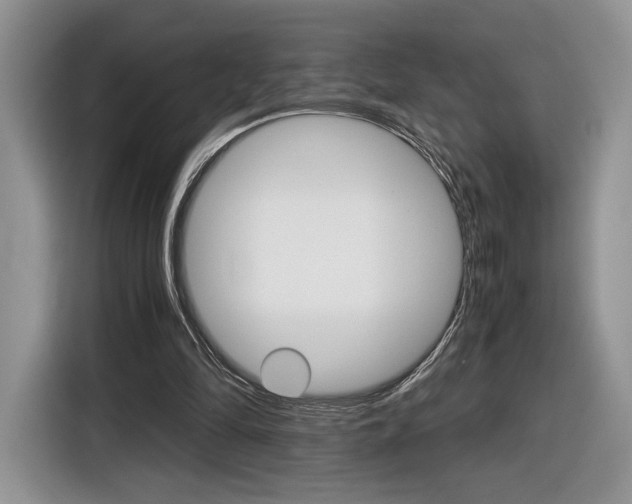 X0000116840294200912181120