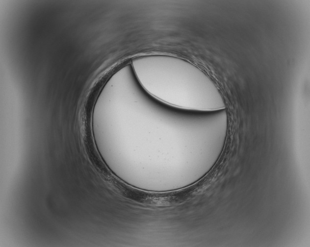 X0000116840295200912181120