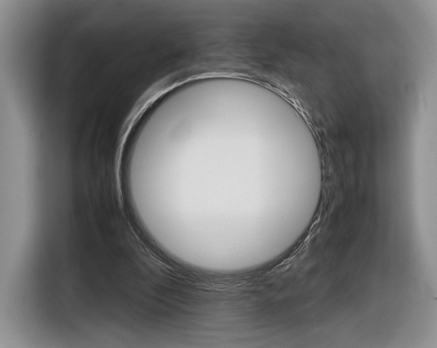 X0000116840296200912181120