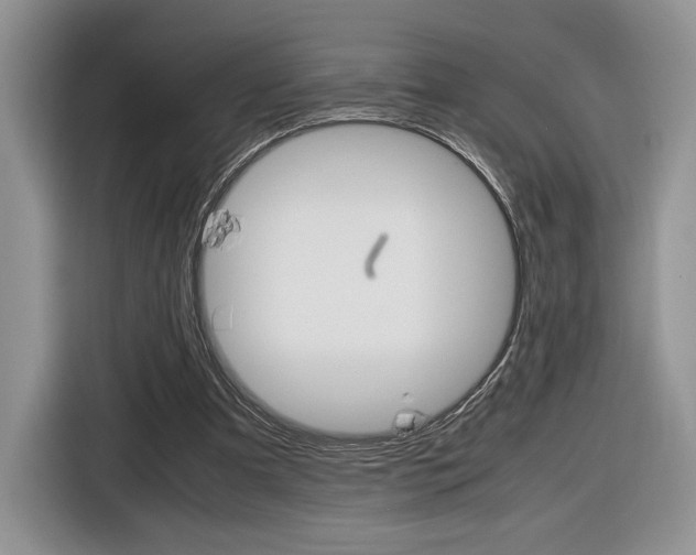 X0000116840297200912181120