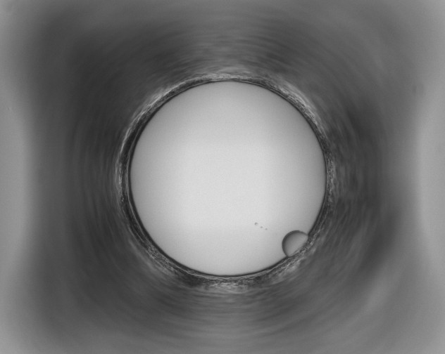 X0000116840298200912181120