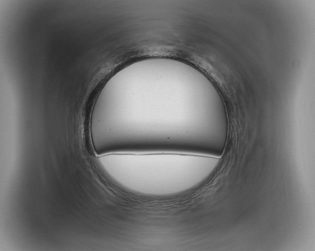 X0000116840299200912181120