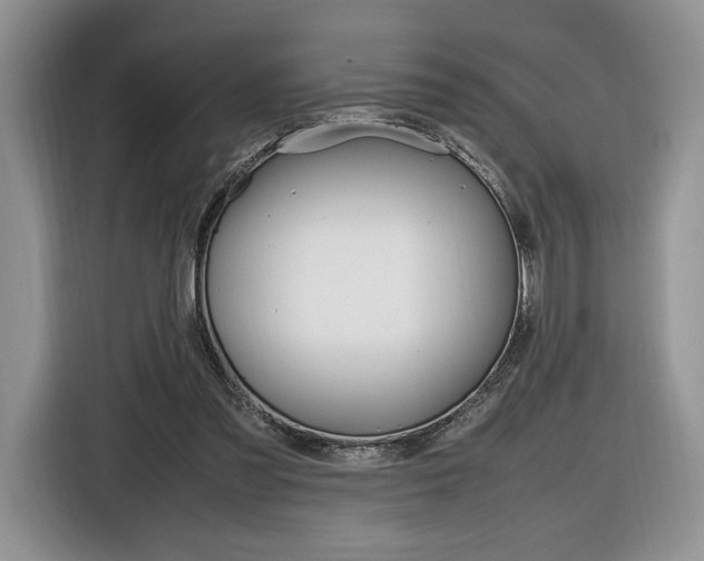 X0000116840301200912181120