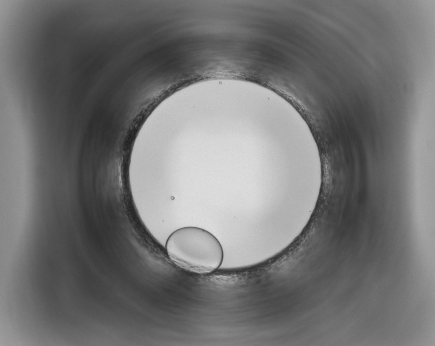 X0000116840302200912181120