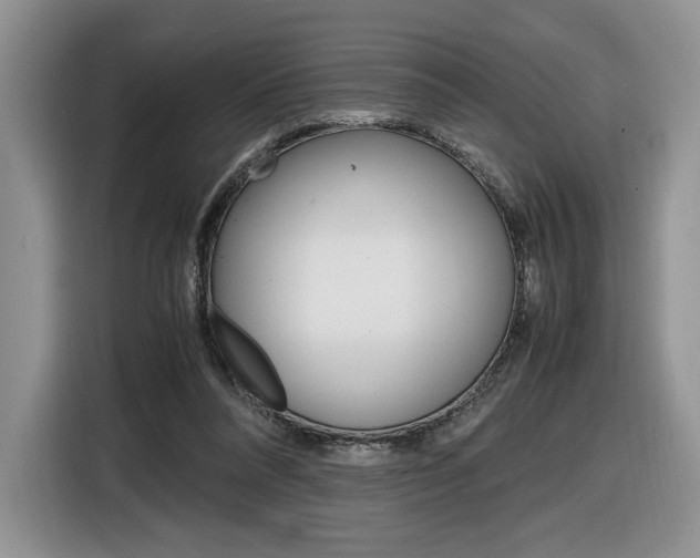 X0000116840304200912181120