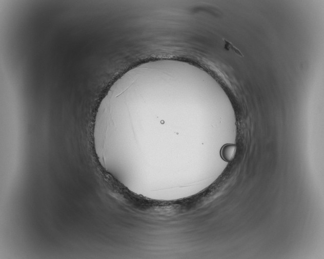 X0000116840307200912181120