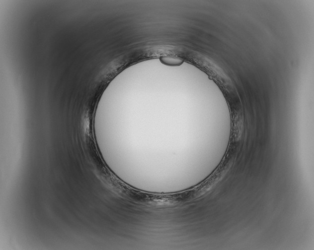 X0000116840310200912181119
