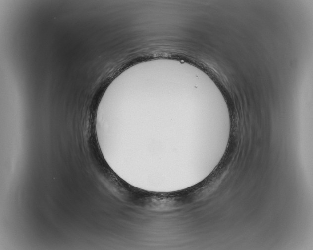 X0000116840311200912181119