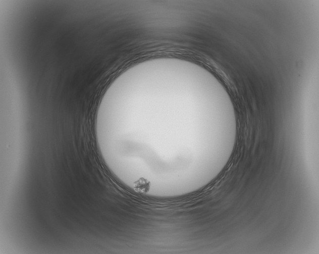 X0000116840313200912181119
